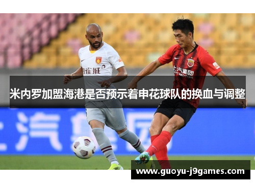 米内罗加盟海港是否预示着申花球队的换血与调整